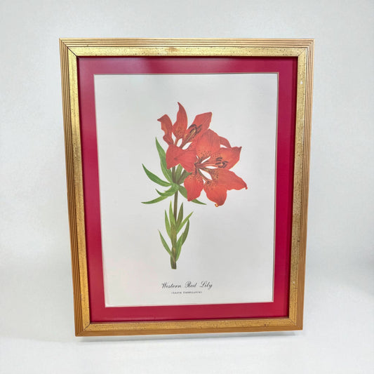 Botanical Print in Gold Frame