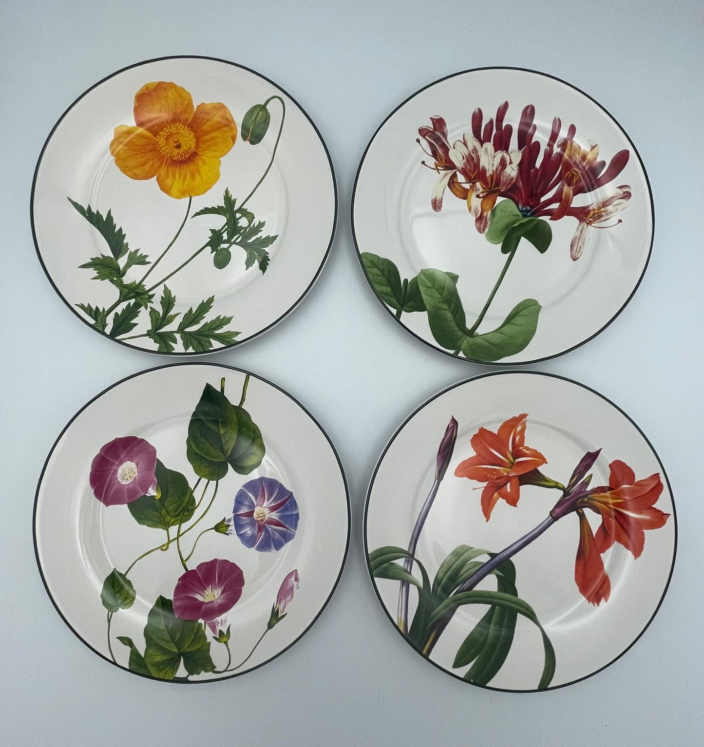 Set of 4 Royal Norfolk Dessert Plates w/ Assorted Florals